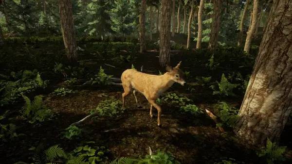 Иллюстрация геймплейного момента