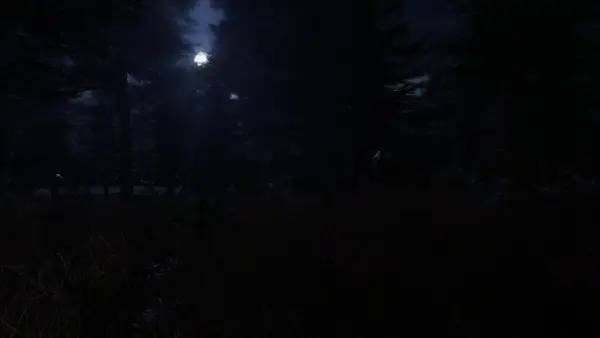 Иллюстрация геймплейного момента