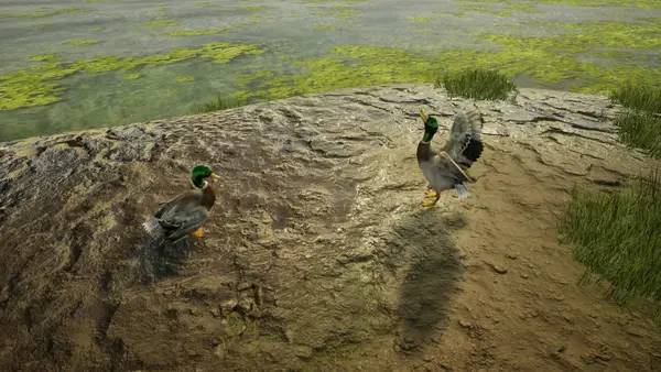 Иллюстрация уровня Animal Doctor с деталями окружения