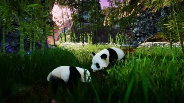 Иллюстрация уровня Animallica с деталями окружения