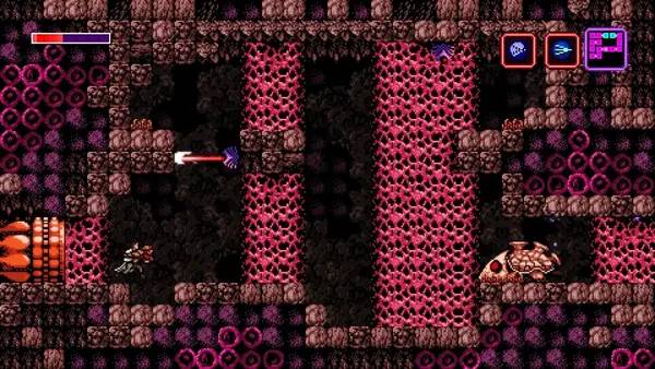 Иллюстрация уровня Axiom Verge Randomizer Beta с деталями окружения