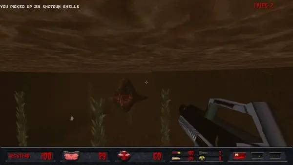 Иллюстрация уровня CARNAL с деталями окружения