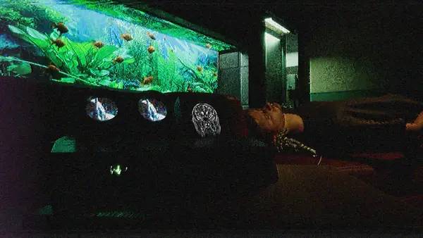 Иллюстрация уровня EarWorm с деталями окружения