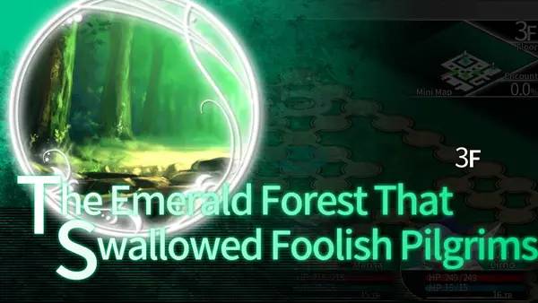 Иллюстрация уровня LABYRINTH OF TOUHOU - GENSOKYO AND THE HEAVEN-PIERCING TREE с деталями окружения