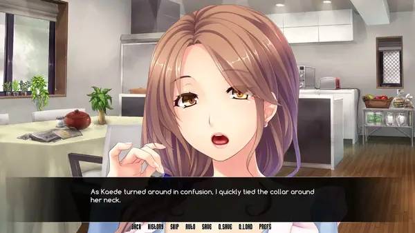 Иллюстрация уровня Mother Daughter Pleasure Pets с деталями окружения