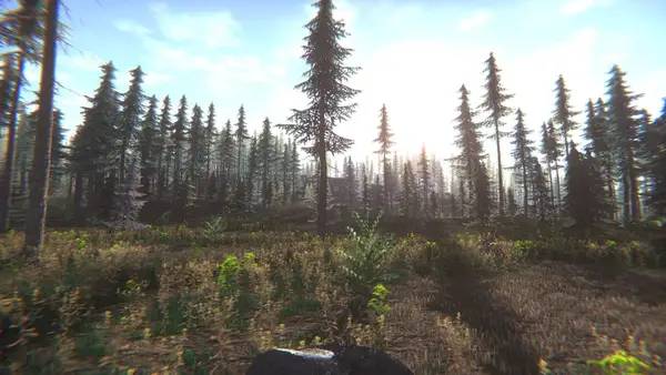 Иллюстрация уровня Mushroom Challenge с деталями окружения