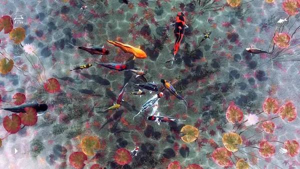 Иллюстрация уровня My Koi с деталями окружения