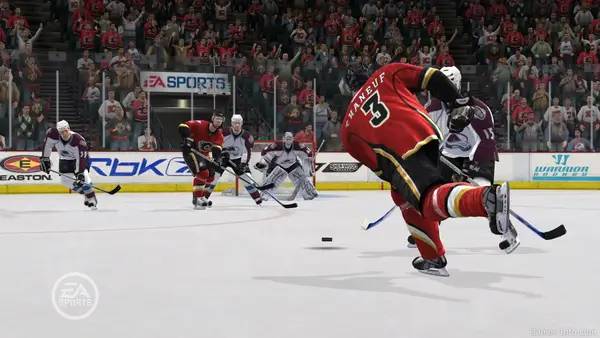 Иллюстрация уровня NHL 09 с деталями окружения