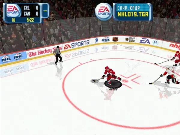Иллюстрация уровня NHL 2001 с деталями окружения
