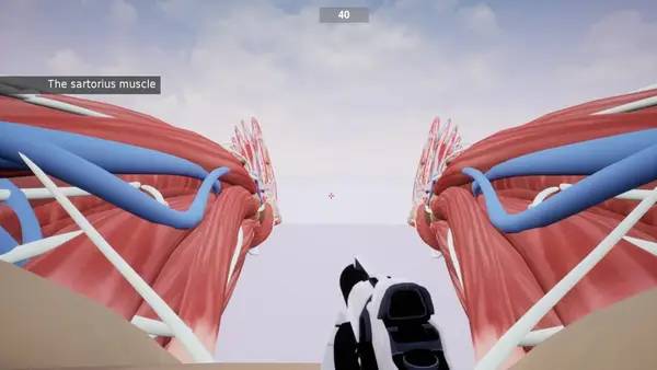 Иллюстрация уровня Shot the Body с деталями окружения