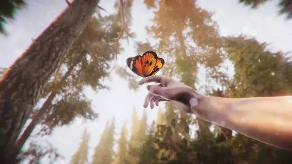 Иллюстрация уровня The Forest Cathedral с деталями окружения