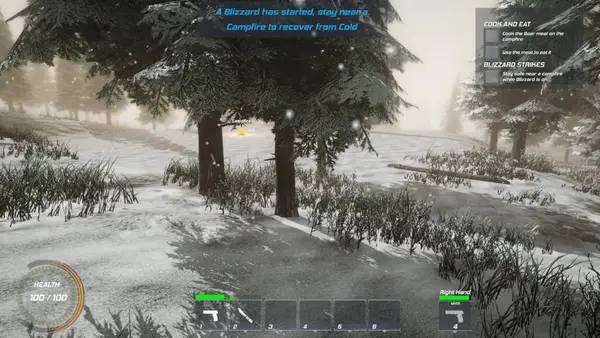 Иллюстрация уровня Winter Warfare Survival с деталями окружения