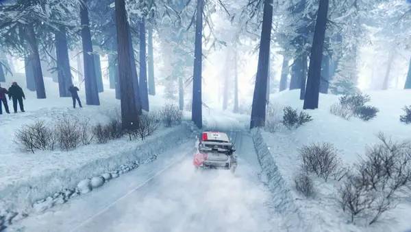 Иллюстрация уровня WRC Generations - The FIA WRC Official Game с деталями окружения