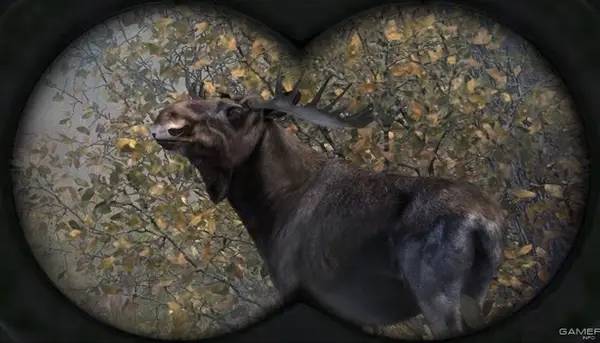 Интерфейс Cabela's Big Game Hunter Pro Hunts во время прохождения