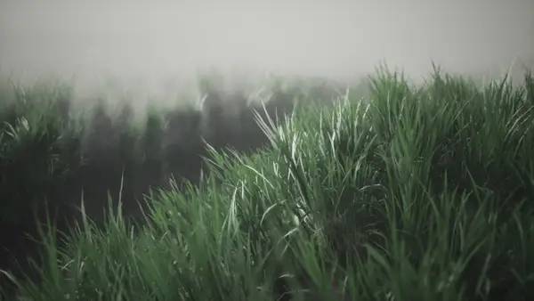 Интерфейс Myrdalssandur, Iceland во время прохождения