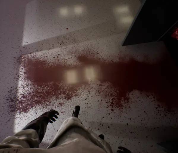 Интерфейс PROJECT 13 во время прохождения