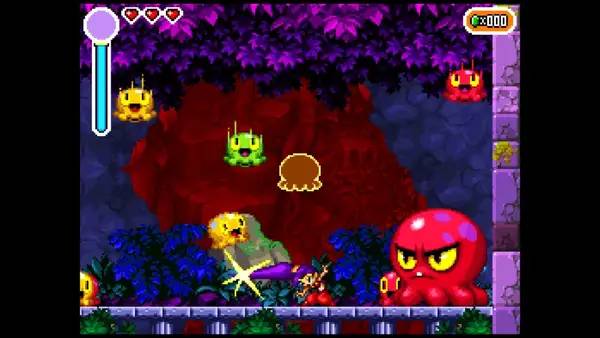 Интерфейс Shantae  Risky's Revenge - Director's Cut во время прохождения