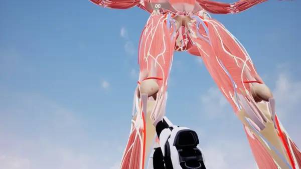 Интерфейс Shot the Body во время прохождения