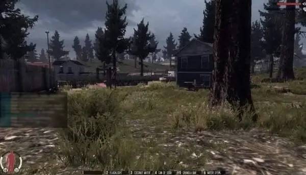 Интерфейс The War Z во время прохождения