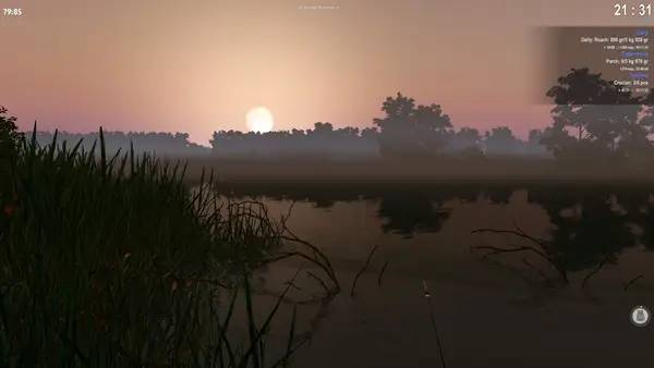 Интерфейс theFisher Online во время прохождения