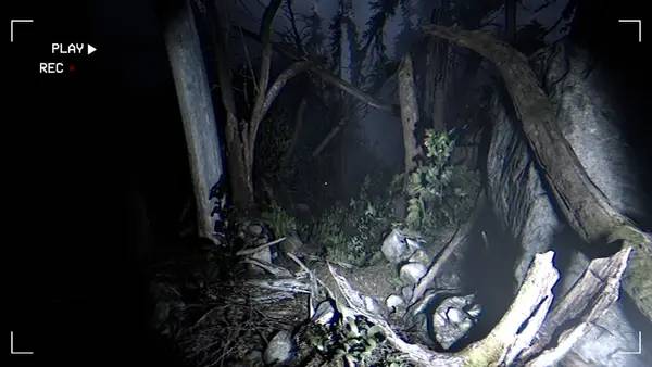 Интерфейс Together After Dark во время прохождения