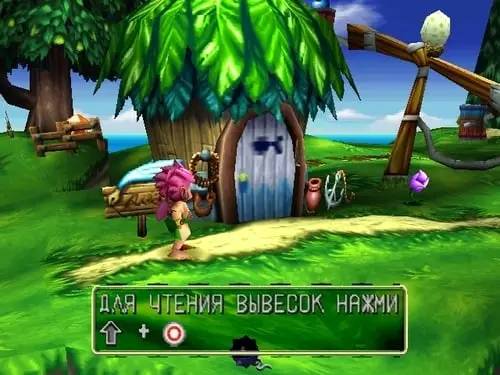 Интерфейс Tomba! 2  The Evil Swine Return во время прохождения