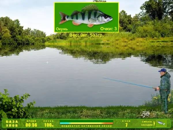 Интерфейс Украинская рыбалка во время прохождения