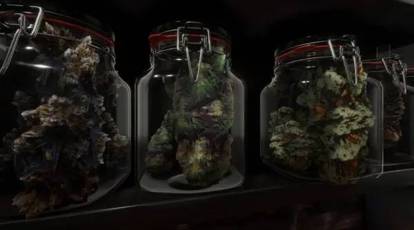 Кадр с взаимодействием персонажа и объекта в Cannabis Farmer Strain Master