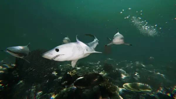 Кадр с взаимодействием персонажа и объекта в Death in the Water 2