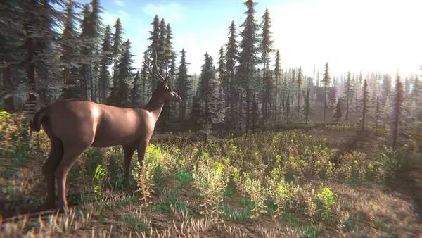 Кадр с взаимодействием персонажа и объекта в Mushroom Challenge