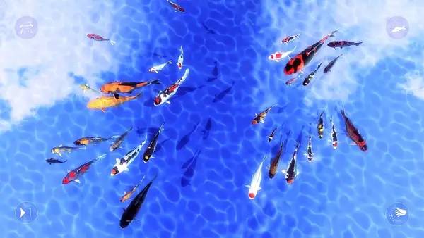 Кадр с взаимодействием персонажа и объекта в My Koi