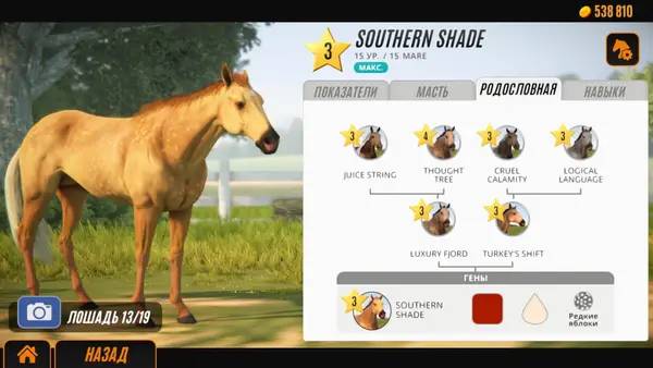 Кадр с взаимодействием персонажа и объекта в Rival Stars Horse Racing  Desktop Edition