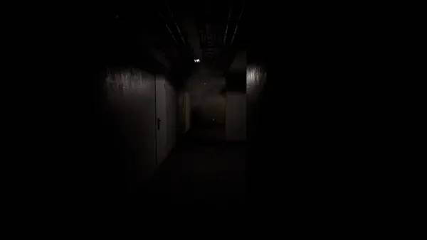 Кадр с взаимодействием персонажа и объекта в SCP-479  Shadows of the Mind