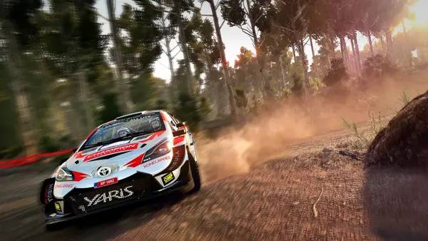Кадр с взаимодействием персонажа и объекта в WRC 8 FIA World Rally Championship