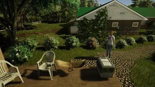 Момент активного игрового действия Animal Doctor