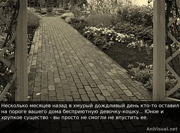 Момент активного игрового действия Be My Master