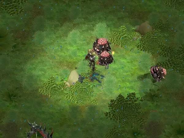 Момент активного игрового действия Depths of Peril