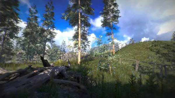 Момент активного игрового действия Position