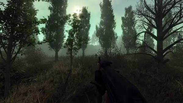Момент активного игрового действия S.T.A.L.K.E.R. Legacy of Times