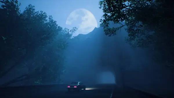 Момент активного игрового действия Welcome to PINEHILLS