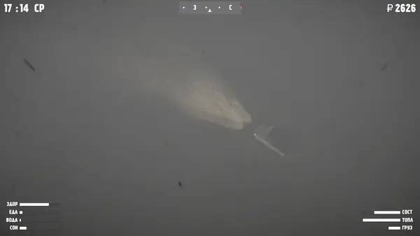 Общий вид на игровую локацию