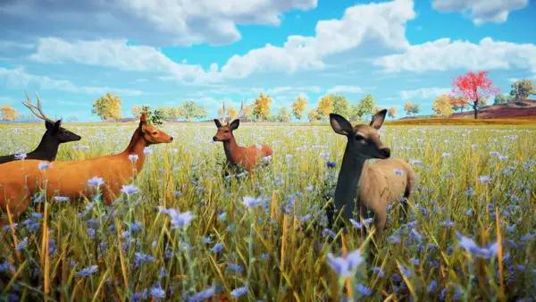 Общий вид на игровую локацию