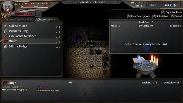 Общий вид на игровую локацию