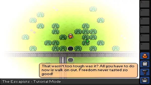 Общий вид на игровую локацию