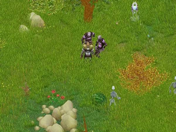 Общий вид на игровую локацию