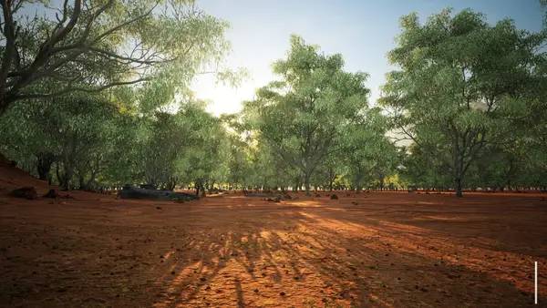 Общий вид на игровую локацию