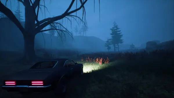 Общий вид на игровую локацию