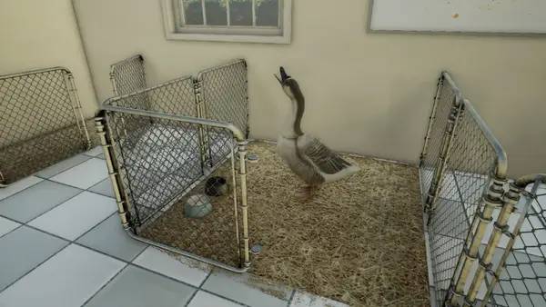 Общий вид на игровую локацию