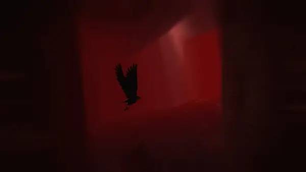 Общий вид на игровую локацию