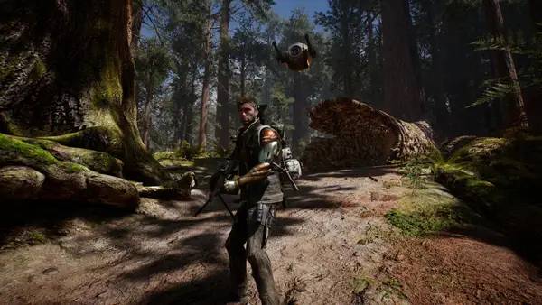 Общий вид на игровую локацию